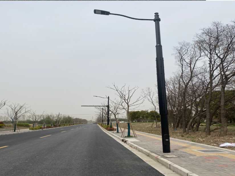 监利市上海综合杆 太阳能路灯工程